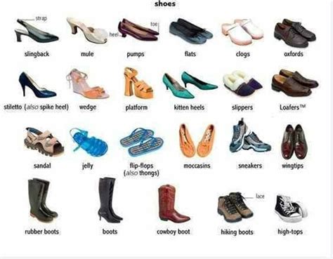 Synonyms of SHOE .